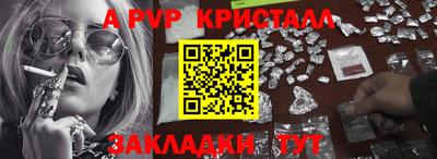 стаф Кингисепп