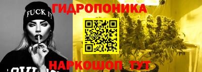 стаф Кингисепп