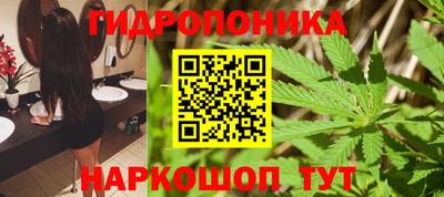 стаф Кингисепп