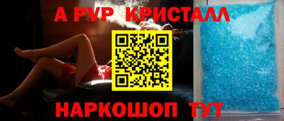 стаф Кингисепп